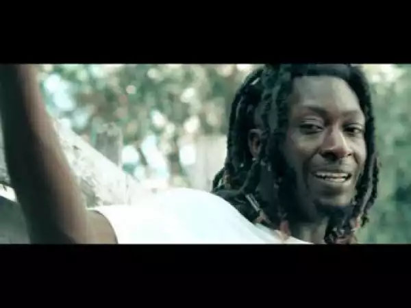 Video: Turk Papi - Have And Have Nots